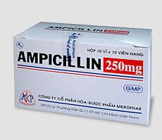 Ampicillin 250 mg