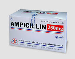 Ampicillin 250 mg